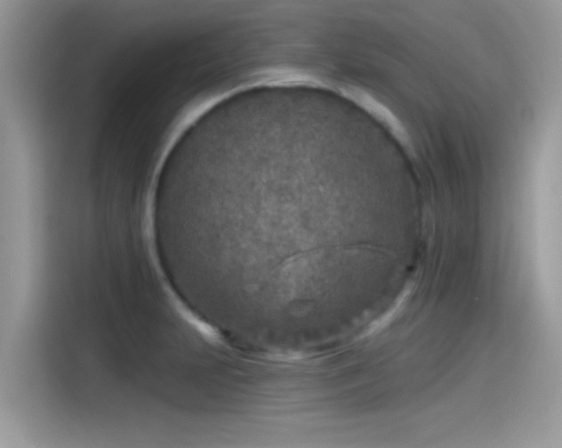 X0000115551231200911131557