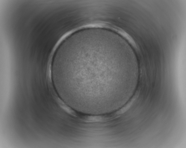 X0000115551232200911131557