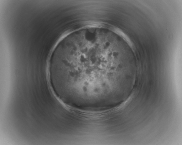 X0000115551235200911131558