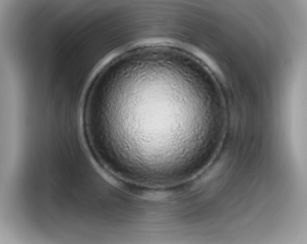 X0000115551237200911131558
