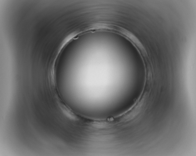 X0000115551242200911131558