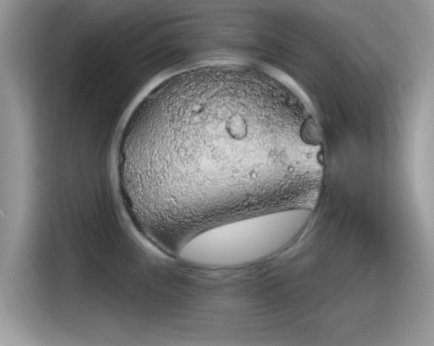 X0000115551243200911131558