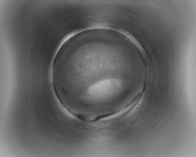 X0000115551246200911131558