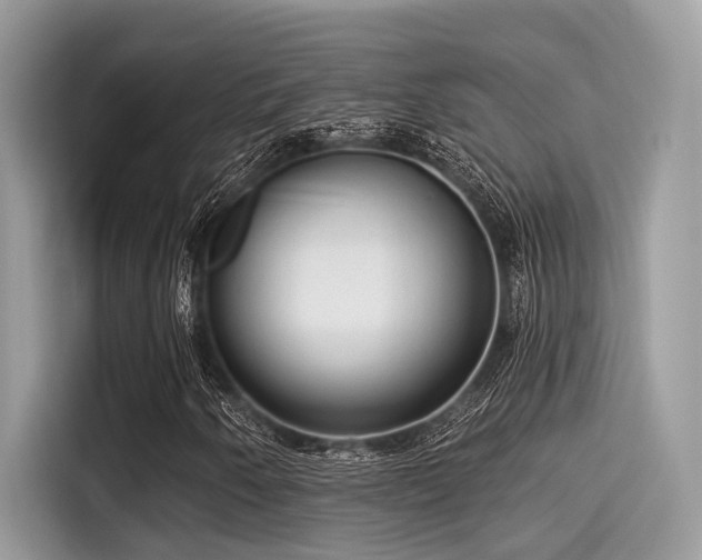 X0000115551250200911131557