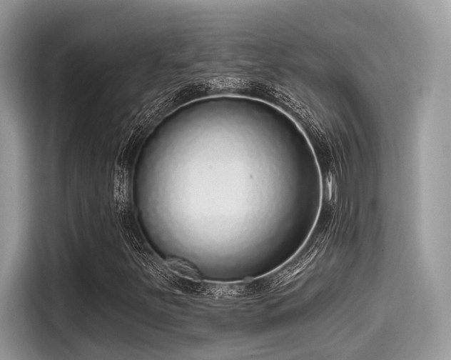 X0000115551251200911131557