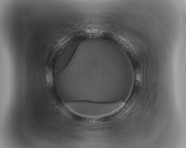 X0000115551252200911131557