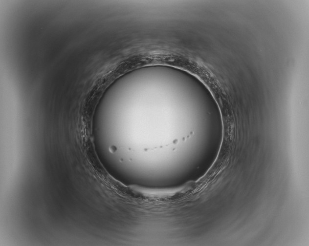 X0000115551253200911131557
