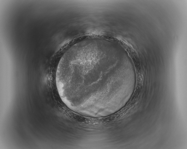X0000115551254200911131557