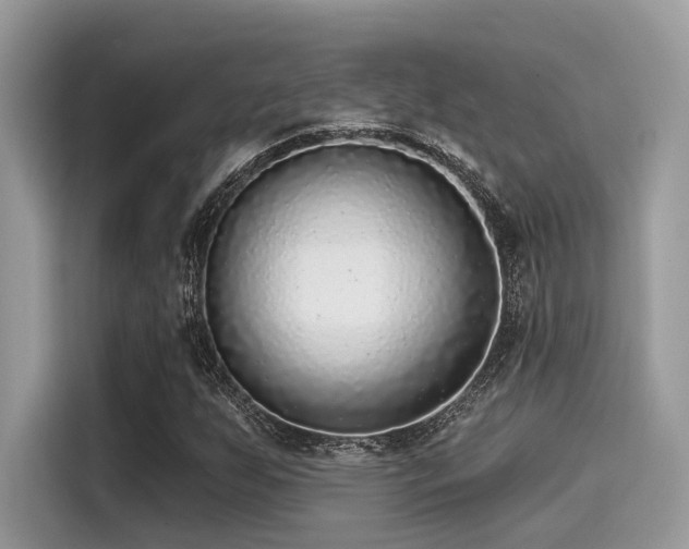 X0000115551255200911131557