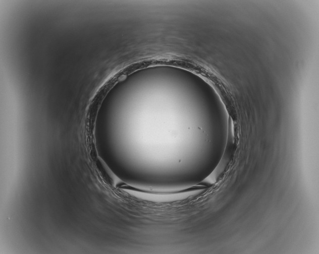 X0000115551256200911131557