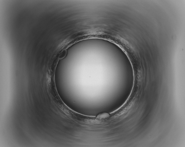 X0000115551257200911131557