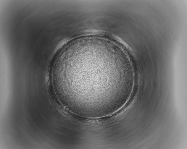 X0000115551259200911131557