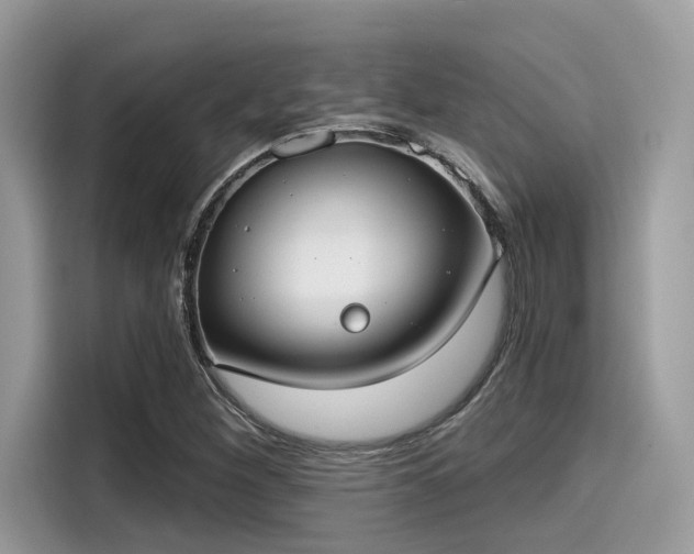 X0000115551260200911131557