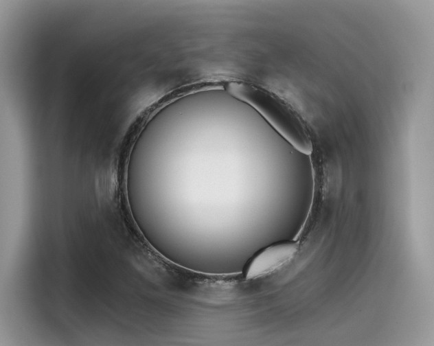 X0000115551261200911131557
