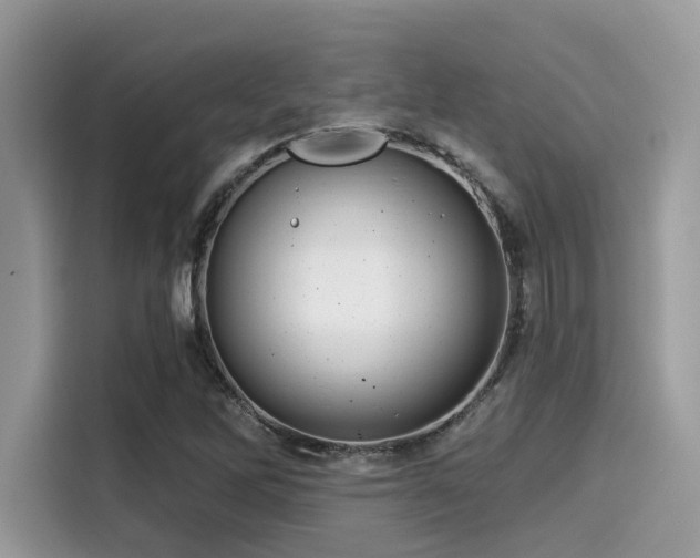 X0000115551262200911131557