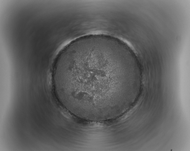 X0000115551263200911131557