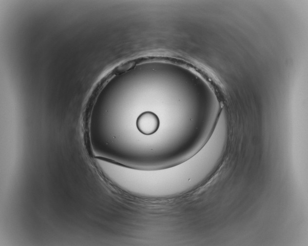 X0000115551264200911131557
