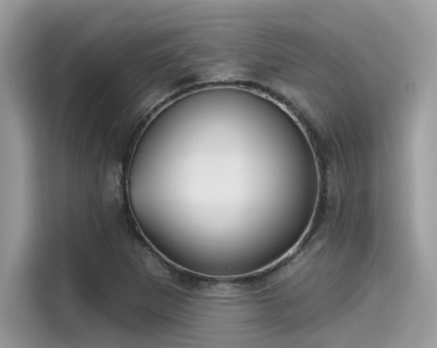 X0000115551265200911131557
