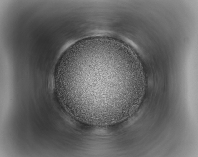 X0000115551267200911131557