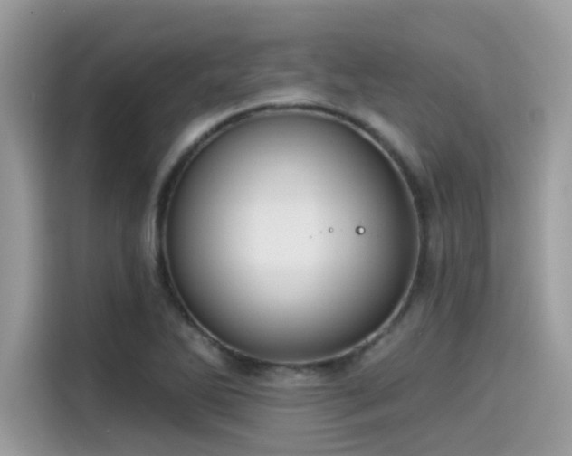 X0000115551270200911131557
