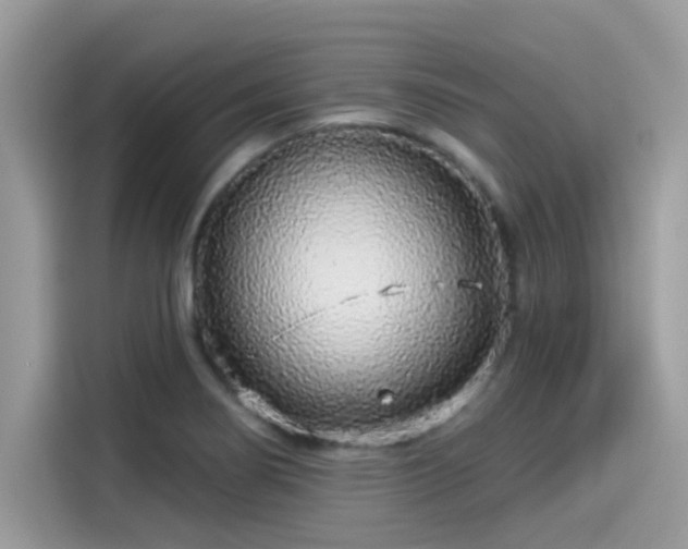 X0000115551274200911131557