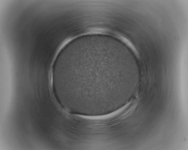 X0000115551275200911131557