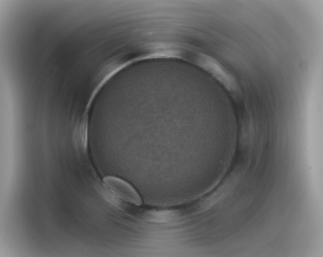 X0000115551276200911131557