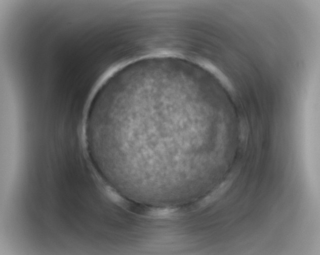 X0000115551278200911131557