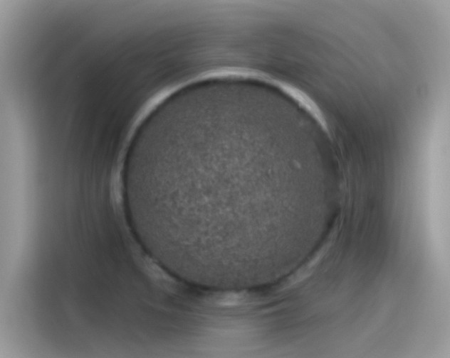 X0000115551279200911131557