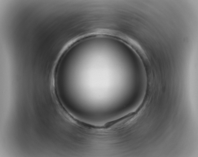 X0000115551280200911131557