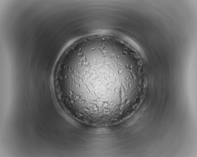 X0000115551283200911131557