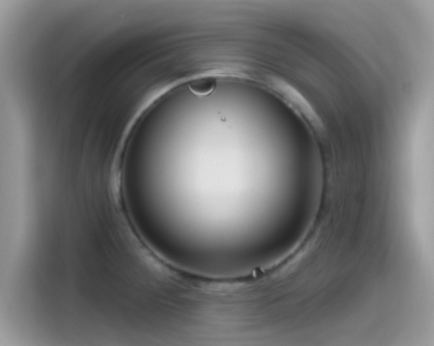 X0000115551284200911131557