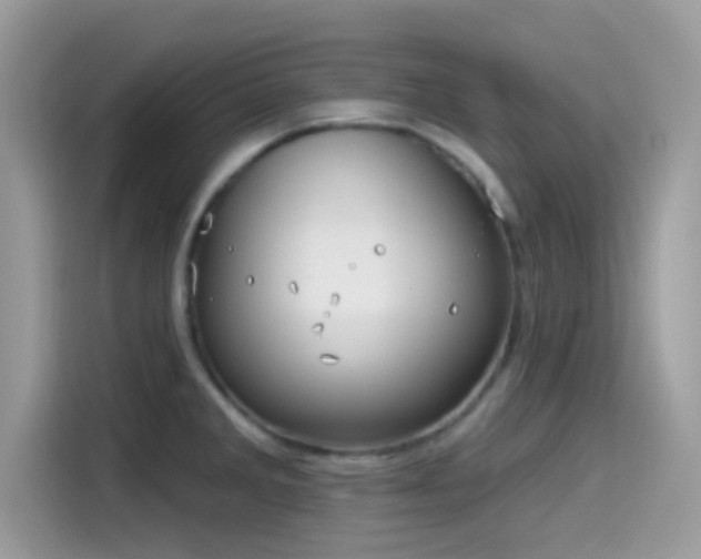 X0000115551285200911131557