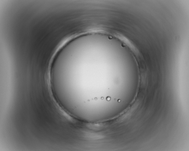X0000115551286200911131557