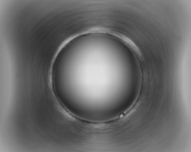 X0000115551288200911131557