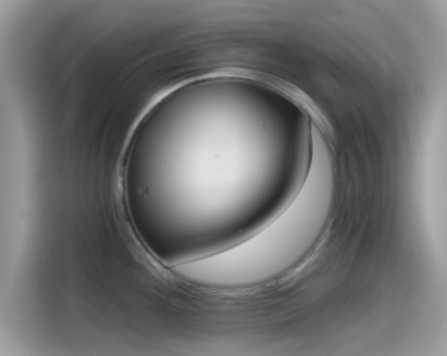 X0000115551292200911131557