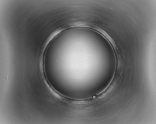 X0000115551293200911131557