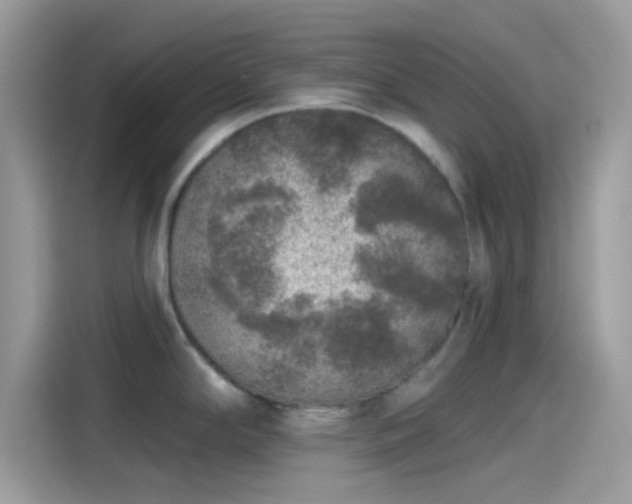 X0000115551294200911131556