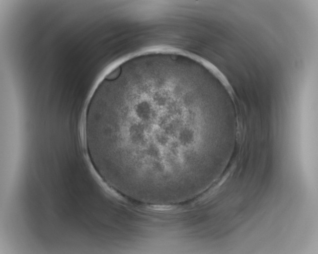 X0000115551295200911131556