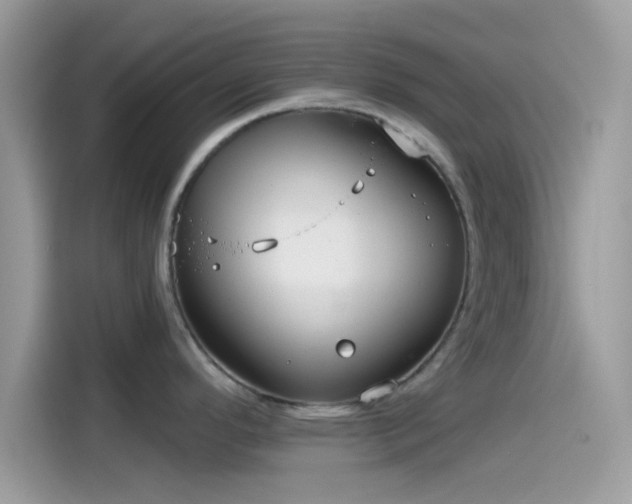 X0000115551296200911131556