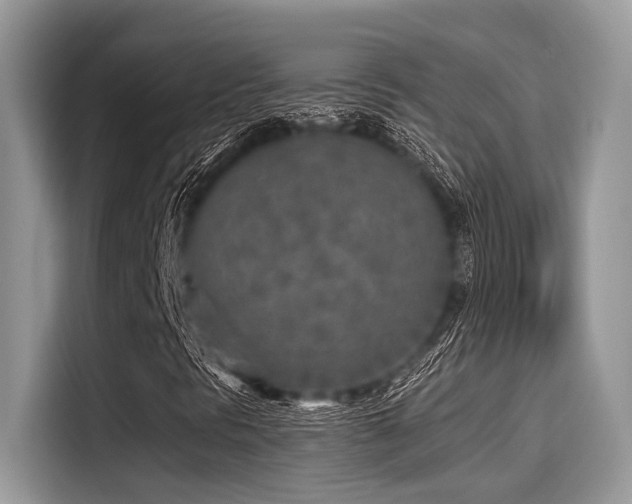 X0000115551297200911131556