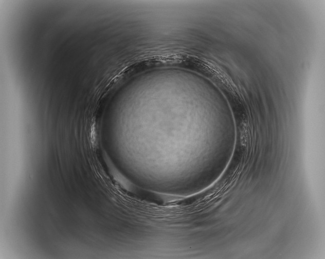 X0000115551298200911131556