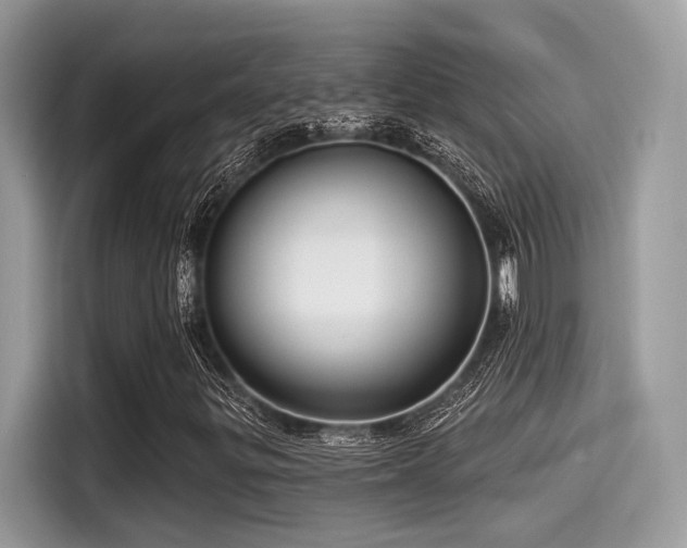 X0000115551299200911131556