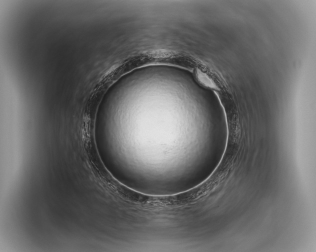 X0000115551301200911131556