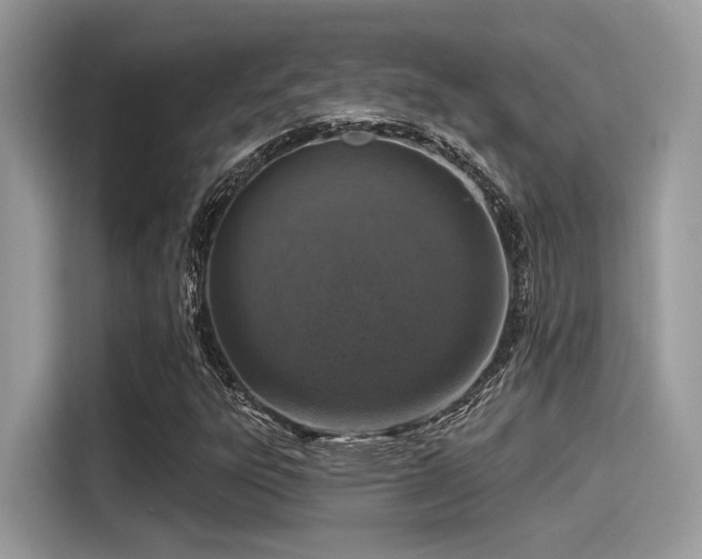 X0000115551303200911131556