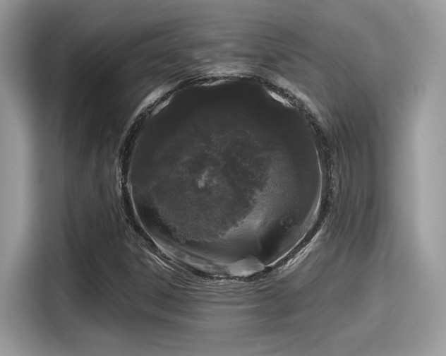 X0000115551306200911131556