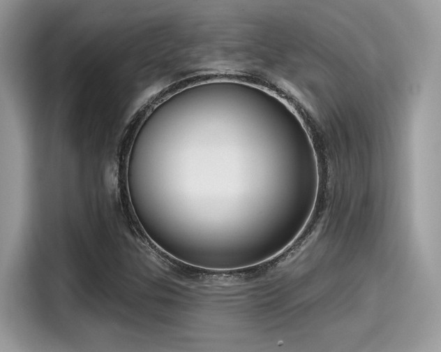 X0000115551307200911131556