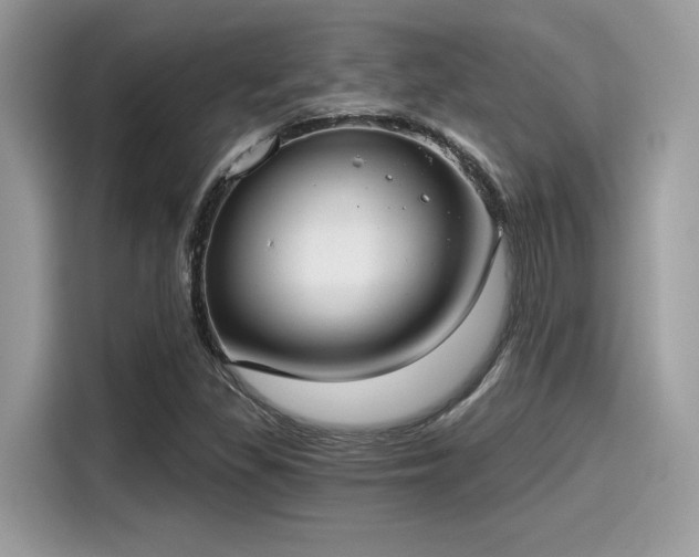 X0000115551309200911131556