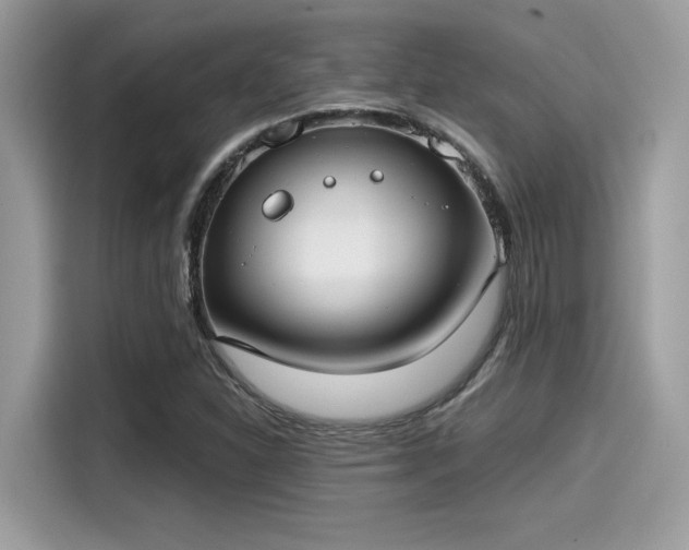X0000115551310200911131556