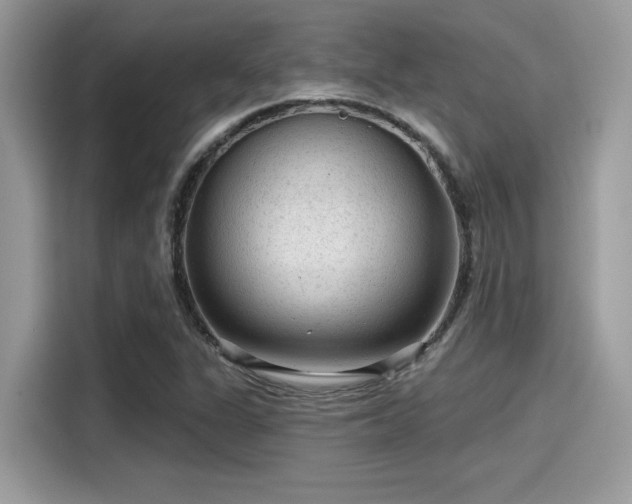 X0000115551311200911131556